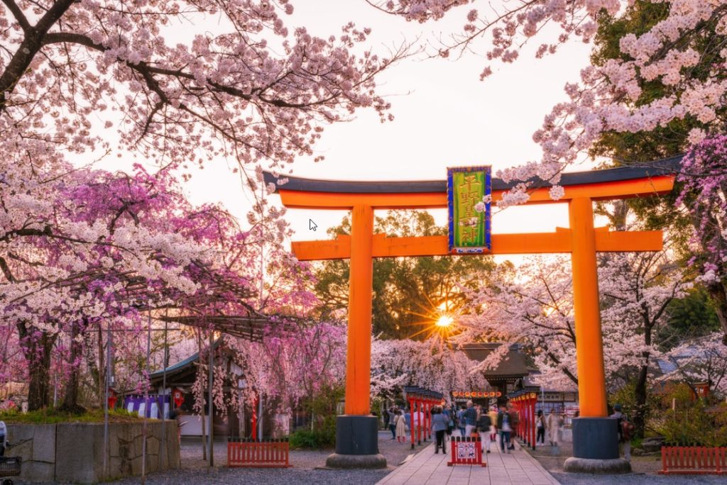 Top Things to Do in Kyoto, Japan – A Journey Through Tradition and Tranquility